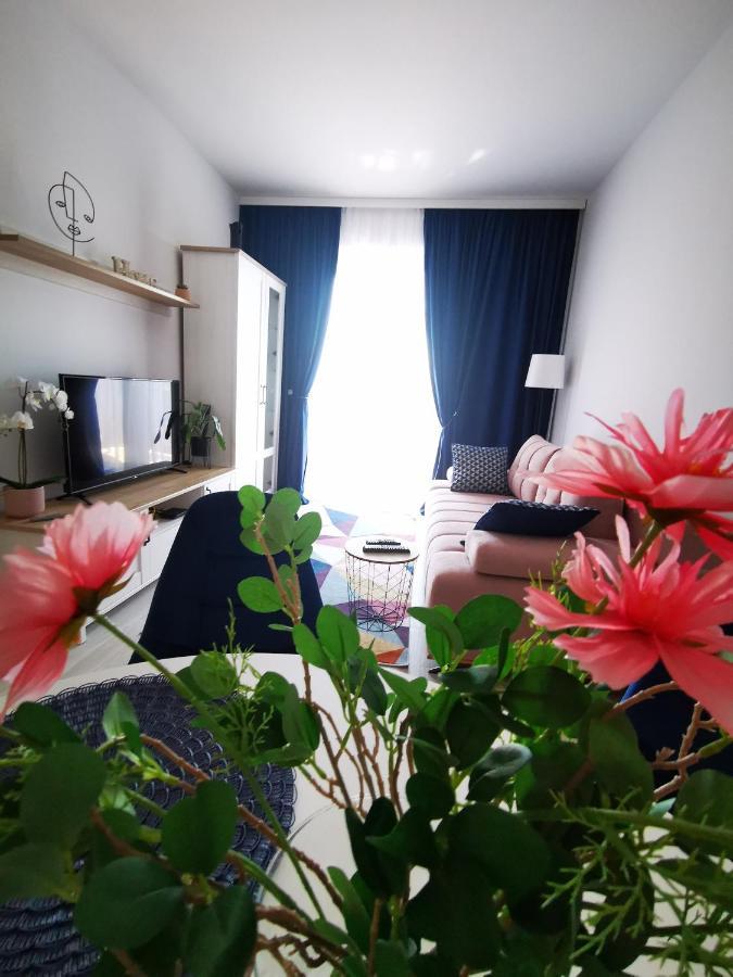 Karra Residence Timisoara - Autorizat Ministerul Turismului Exterior foto